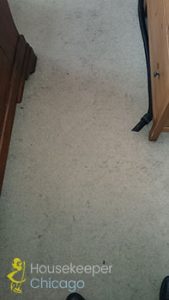 Carpet Cleaning